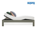 Auping 2 Motors Elevationsbund